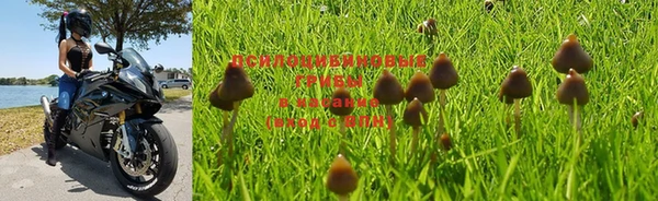 мет Лабытнанги
