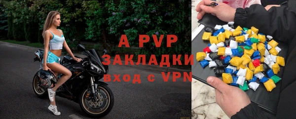 ECSTASY Кукмор