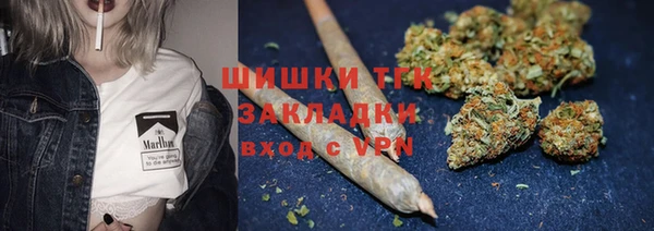 spice Ладушкин