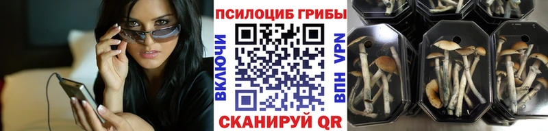 Галлюциногенные грибы GOLDEN TEACHER  даркнет сайт  Сысерть 